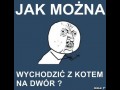 Z kotem