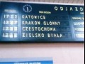 Zielsko biała