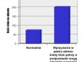 Prędkość pisania