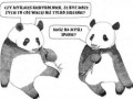 Pandafilozof