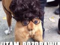 Witam pozdrawiam