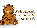 Schudnac