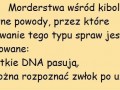 Kibole mają na to wyjebane jak zęby