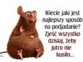 Podjadanie