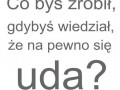 Wszystko nie bój się nie uda się