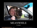 Mean
