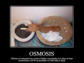 Osmoza demotywatory