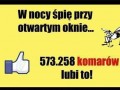 Komary lubią to