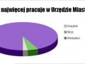 Urząd miasta