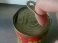 Mother of tomato