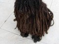 Dog marley