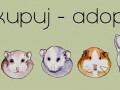 Nie kupuj  adoptuj