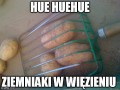 Ziemniacze więżienie