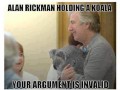 Koala 1