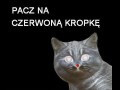 Pacz na czerwoną kropkę