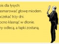 Sposób na łysnienie