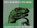 Piwnica