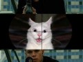 Bourne