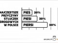 Przyczyny stluczek drogowych