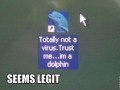 Trust me i39m a dolphin