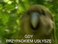 Gdy przypadkiem usłyszę ulubioną nutę