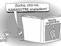 Kamasutra