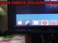 Mucha zawsze znajdzie
