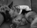Awwwww 3