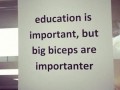 Biceps