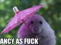 Pięknie