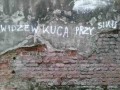 O widzewie