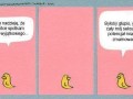 Seksualny potencjał