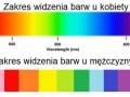 Co widzimy