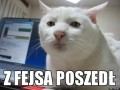 Z czatu fejsowego poszedł
