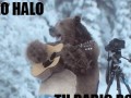 Halo halo