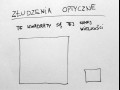 Złudzenie optyczne