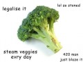 Legalize it