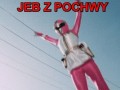 Z pochwy