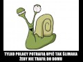 Tylko polacy potrafią upić