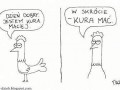 Kura mać