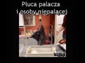 Pozdrawiam palaczy