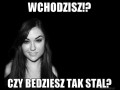 Wchodzisz