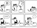 Sometimes i hate my cat