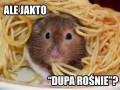 Niemożliwe