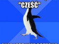 Niedostępna