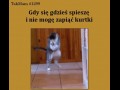 Kiedy sie spiesze