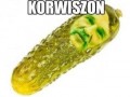 Korwiszon
