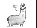 I like you