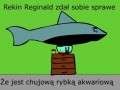 Rekin reginald