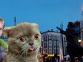 Internetami przez sosnowiec